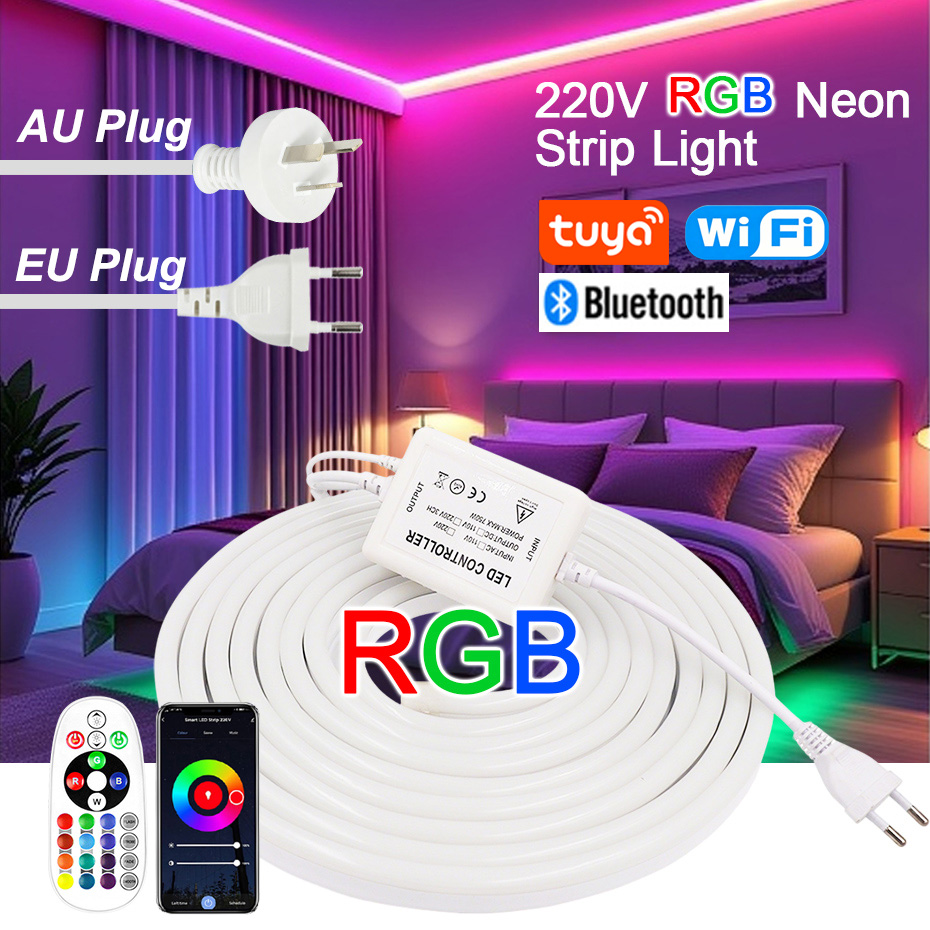 220V RGB LED 네온 스트립 (EU/AU 전원  - Power Strip Flat 리뷰 및 가격