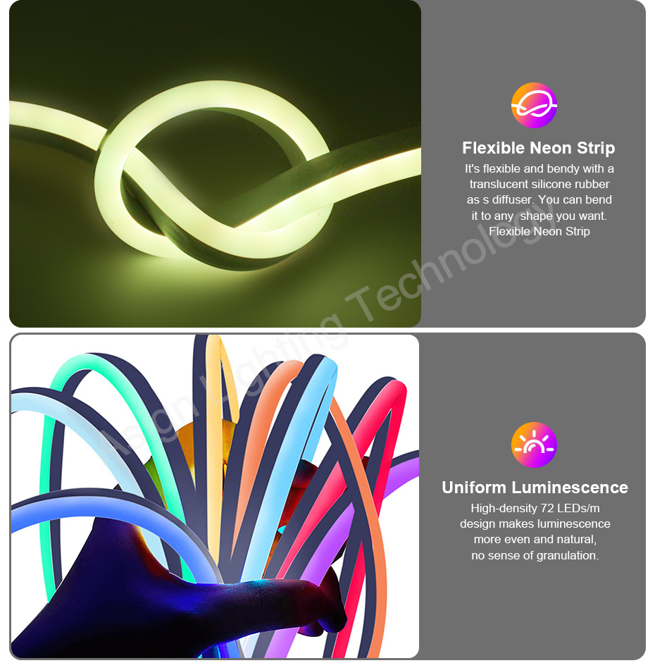 220V RGB LED 네온 스트립 (EU/AU 전원  - Power Strip Flat 리뷰 및 가격