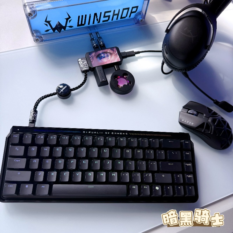 WINSHOP Esports HUB 듀얼 인/아웃 US - Desk Setup Aesthetic 리뷰 및 가격