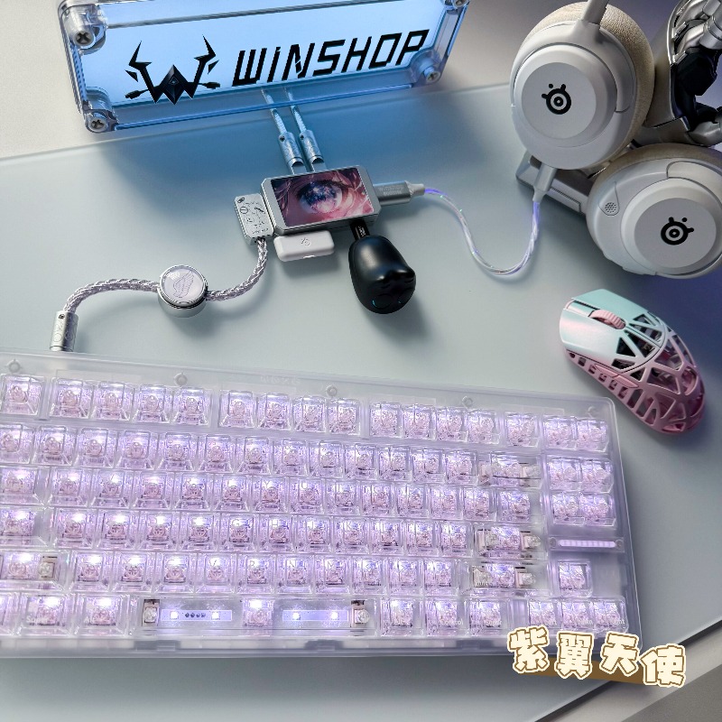 WINSHOP Esports HUB 듀얼 인/아웃 US - Desk Setup Aesthetic 리뷰 및 가격
